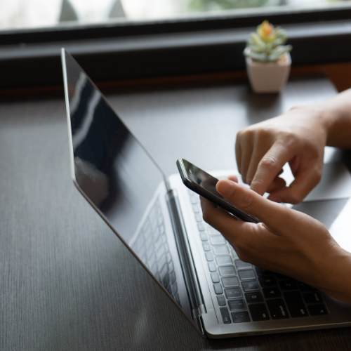Alt Image